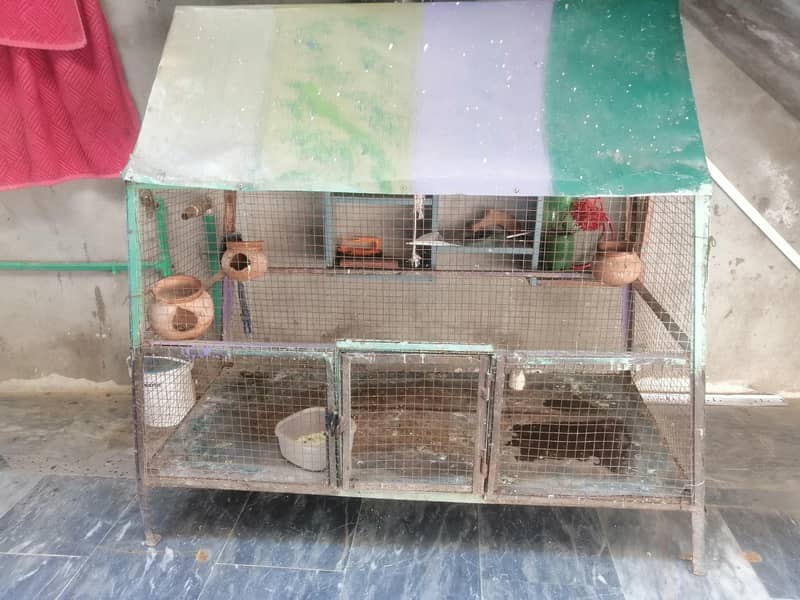 hen  cage 1