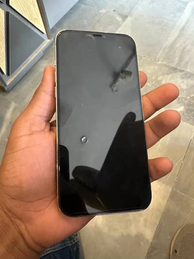 Iphone 12pro max pta
