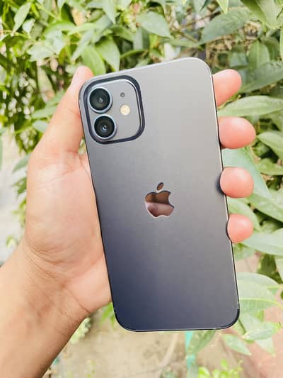 iphone 12 256gb pta approved water pack 100% battery health