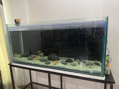 Aquarium 4 lft long