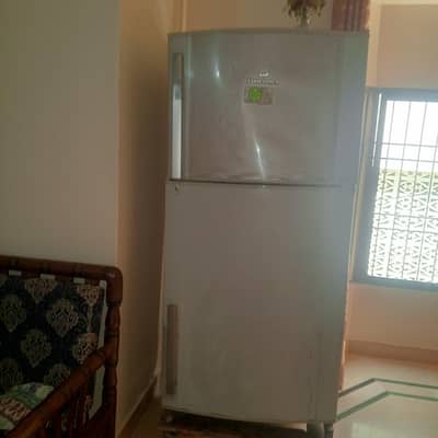 price me kami pechi hojaygi