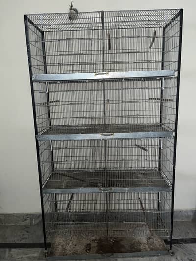 Cages jasti wire