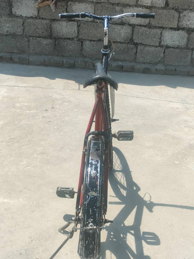 bicycle  5