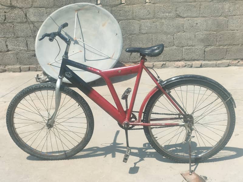 bicycle  6