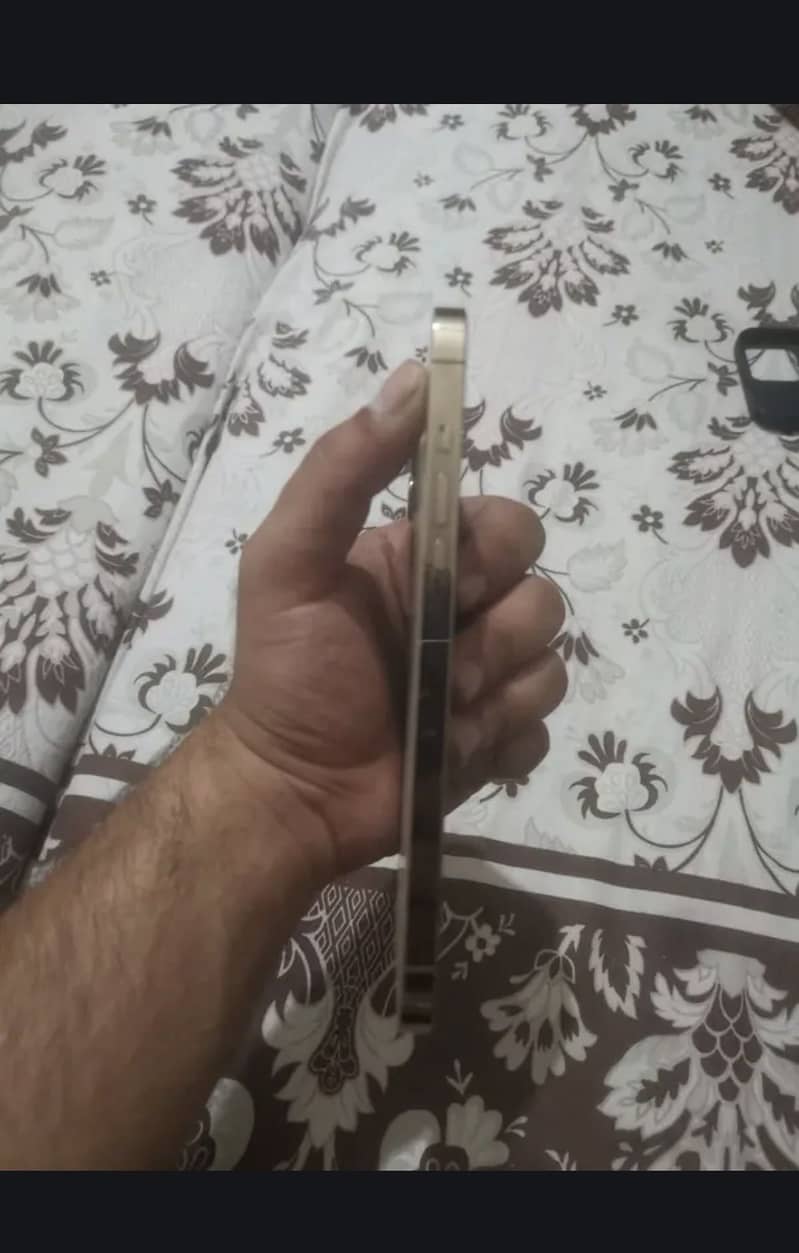 iPhone 12 pro max 1