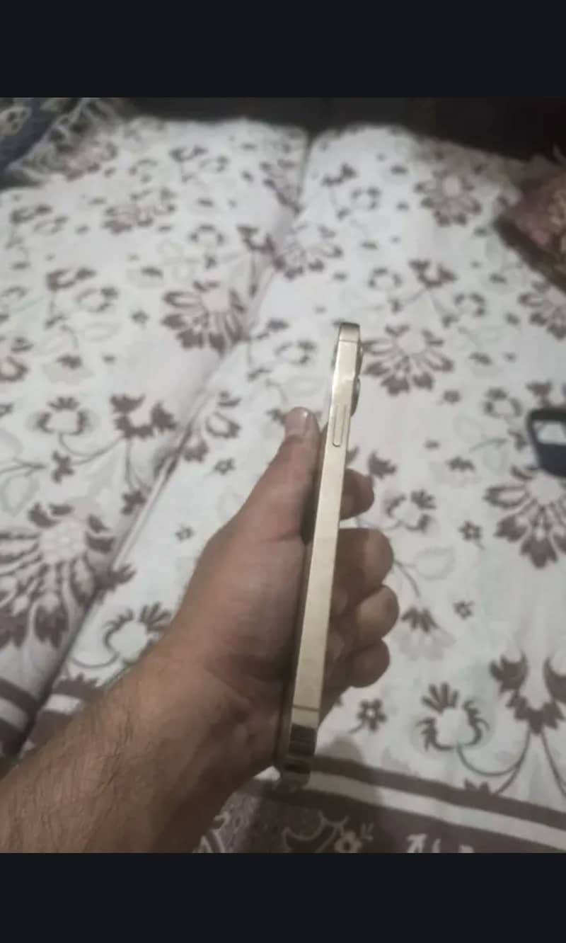 iPhone 12 pro max 3