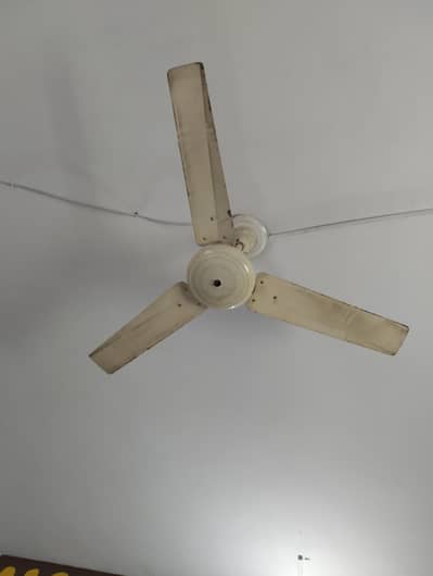 for sale