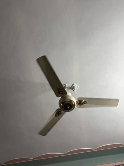 Beautiful seeling fan