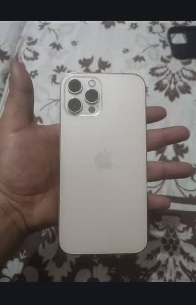 12 pro max pta