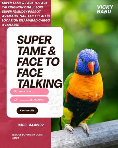 SUPER TAME & FACE TO FACE TALKING LORI