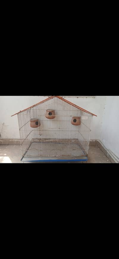 BIrd/Hen Cage