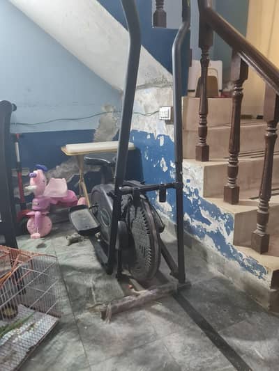 Exercise cycle