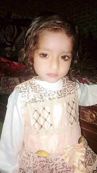 rana amir