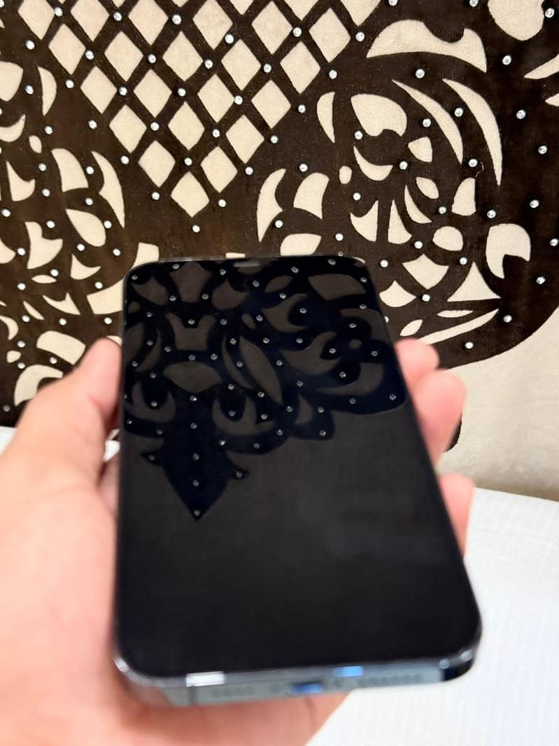 iphone 12 pro max 2