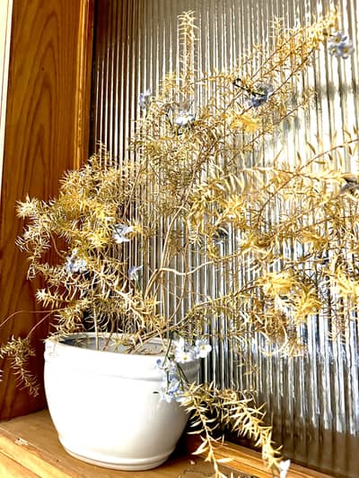 Handmade artificial flower plant