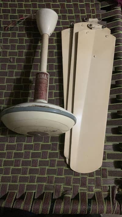 Ceiling Fans