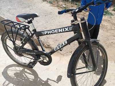 phoenix Cycle