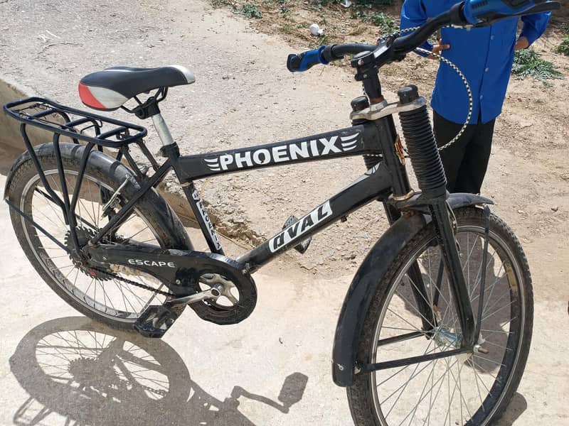 phoenix Cycle 0