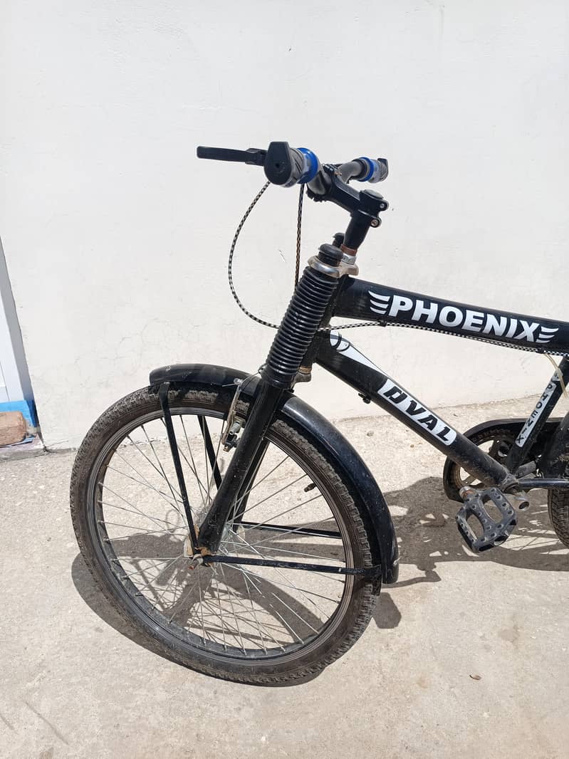 phoenix Cycle 1