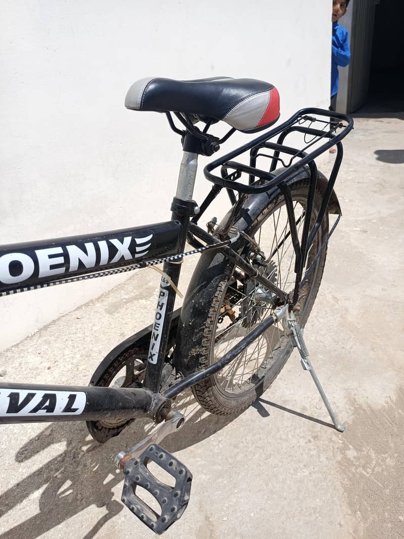 phoenix Cycle 2