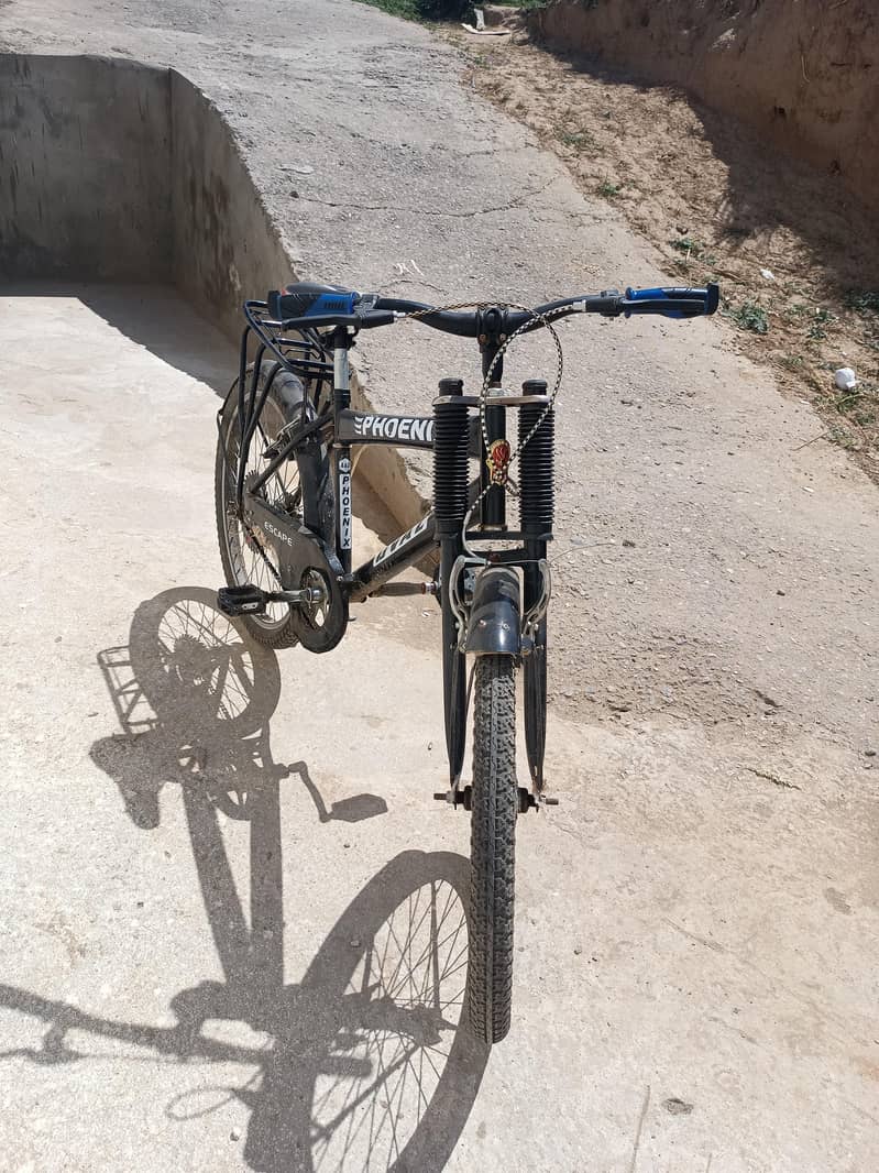phoenix Cycle 3