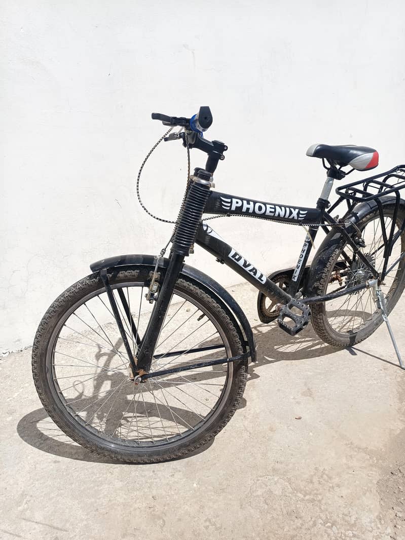 phoenix Cycle 4