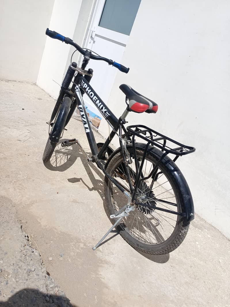phoenix Cycle 5