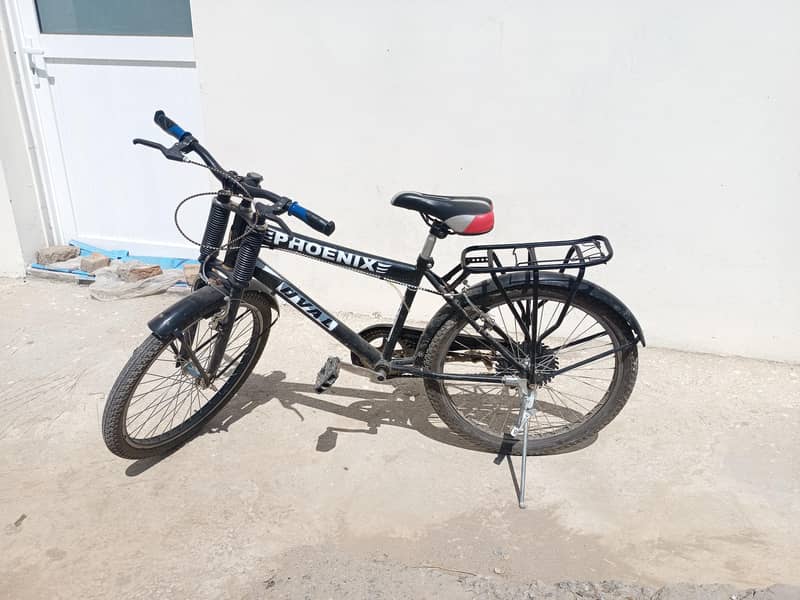 phoenix Cycle 6
