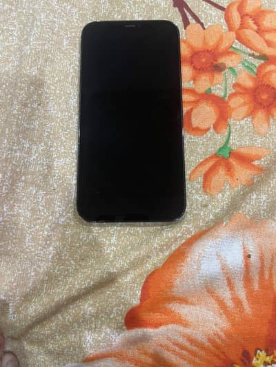 iphone12pro max