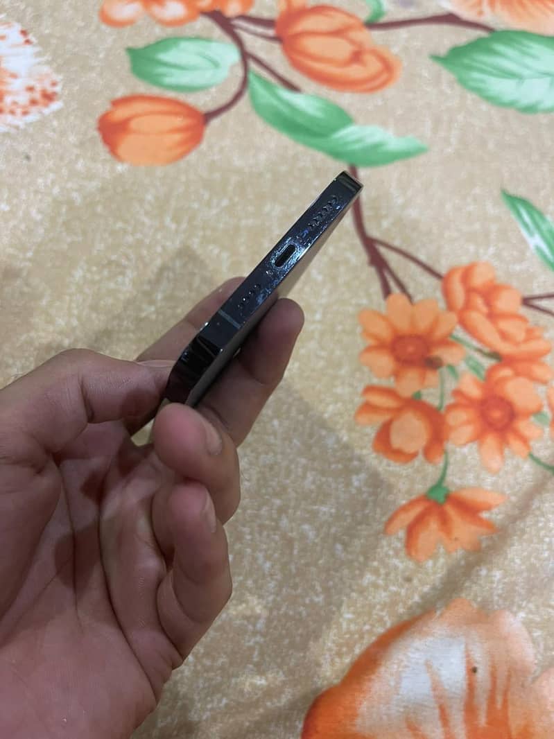 iphone12pro max 5