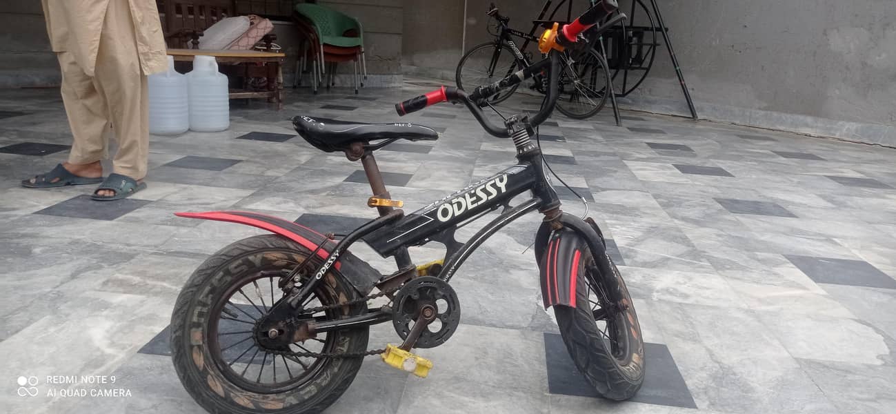 imported bicycle 0