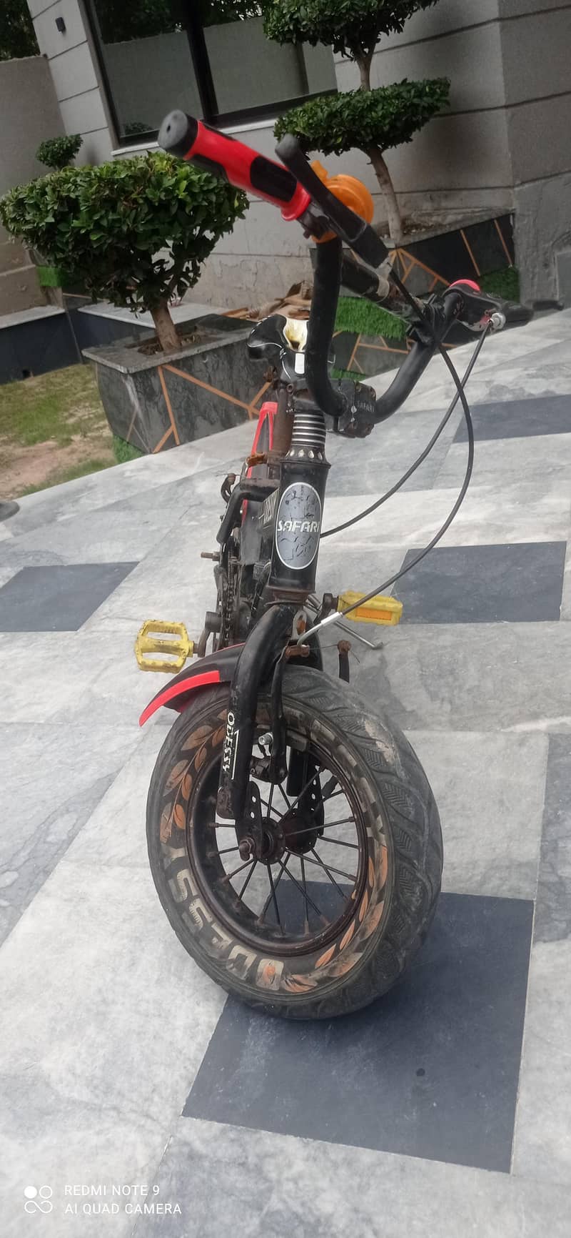 imported bicycle 1
