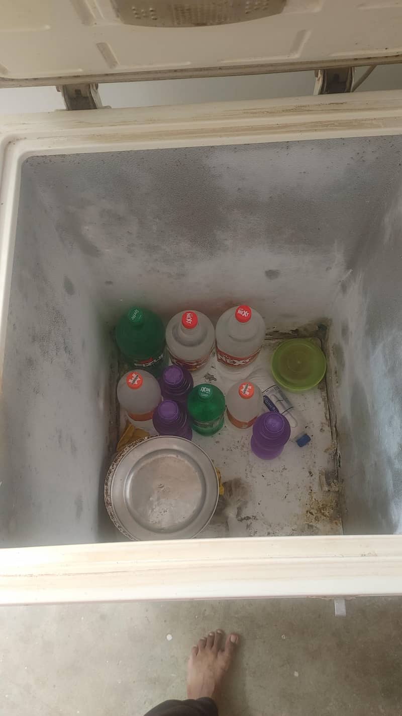 PEL deep freezer 4