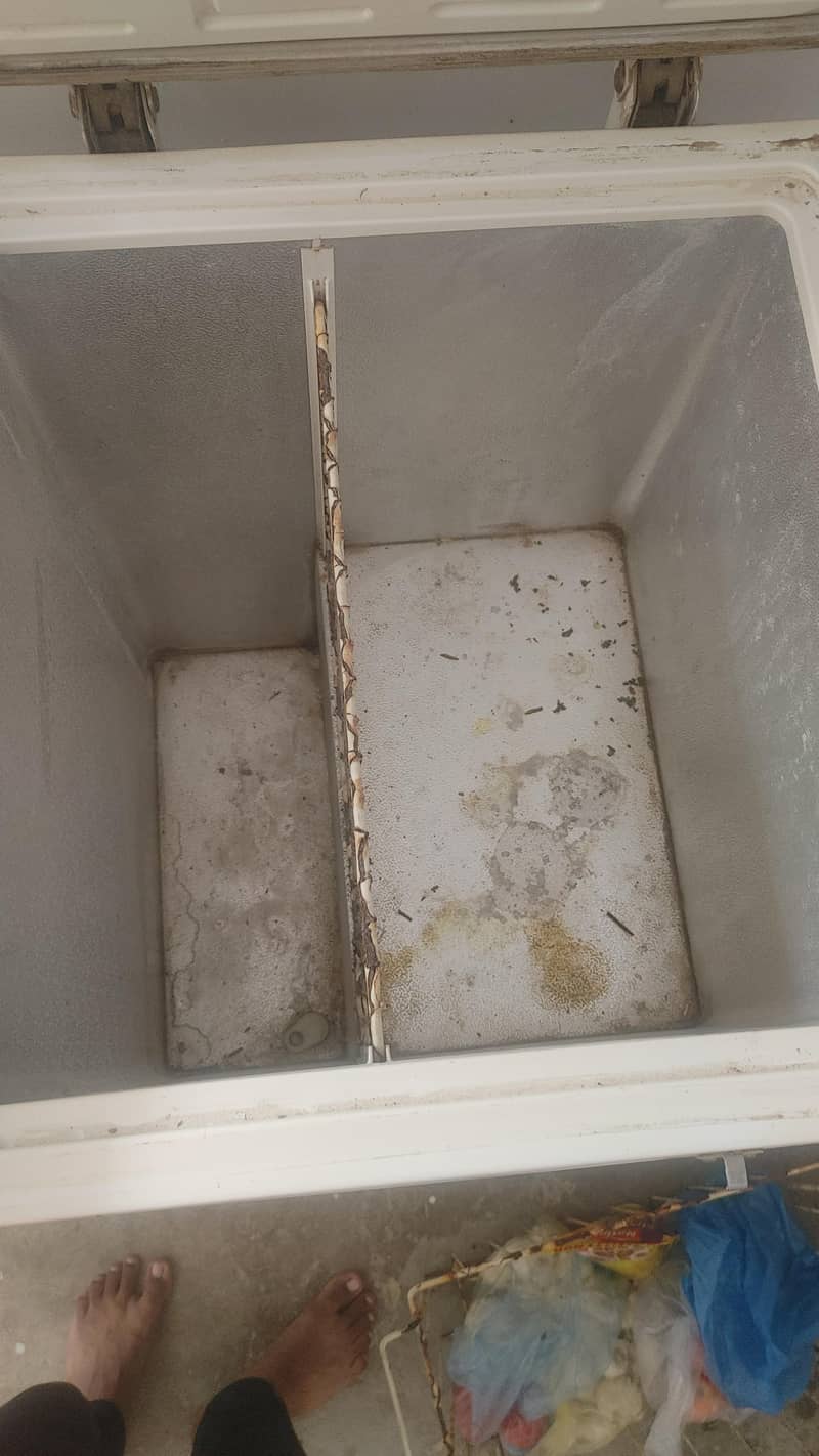 PEL deep freezer 5