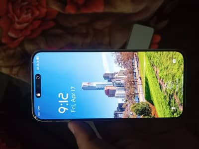 8+8 gb ram 256 Rom