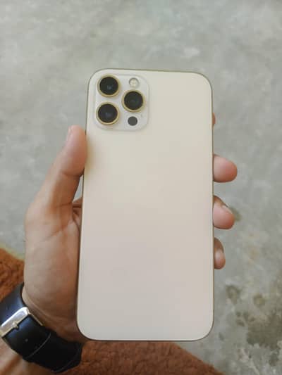 Apple iPhone 12 pro max
