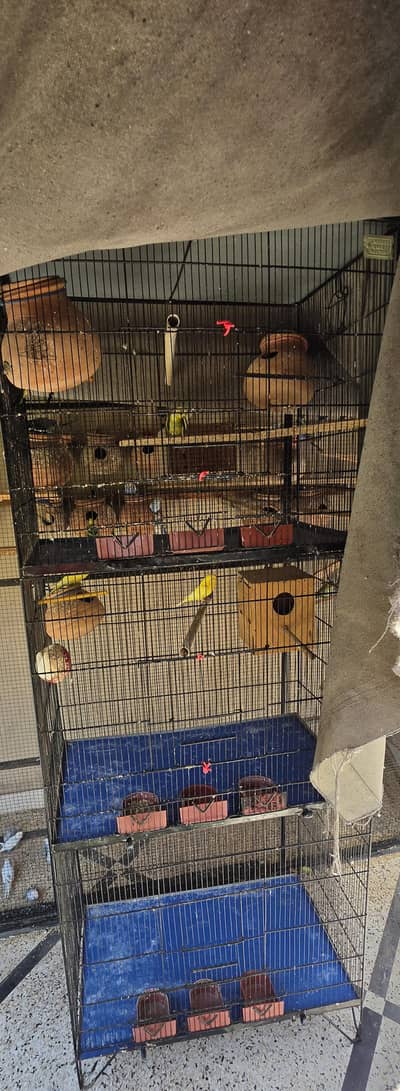 cages for sale perfect condition