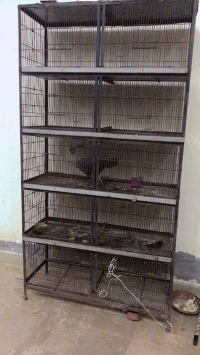 Cage / Birds cage / Hens Cage / Pinjra / Iron Cage / پرندوں کا پنجرا