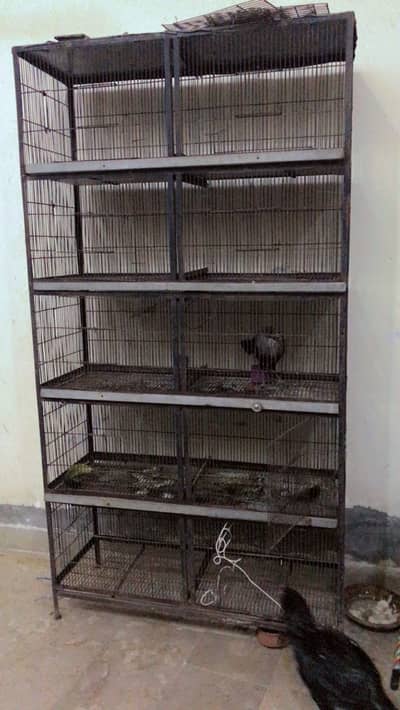 Cage / Birds cage / Hens Cage / Pinjra / Iron Cage / پرندوں کا پنجرا