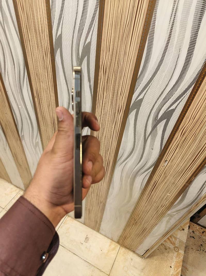 13 pro max 4