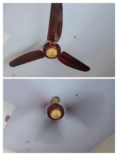 CELING FAN