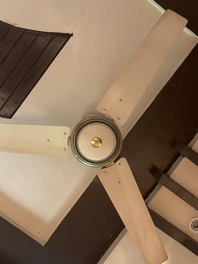 Heavy Duty Ceiling Fan With Copper Motor Energy Saving