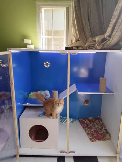 Luxury Cat Cage / Cat Condo With Scratching Posts & House | Like New