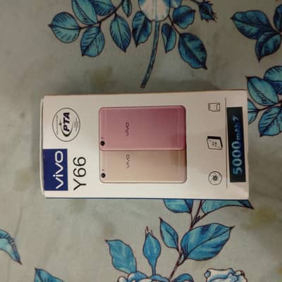 price me kami pechi hojaygi