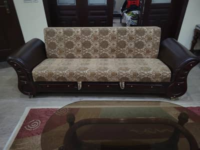Sofa cum Bed