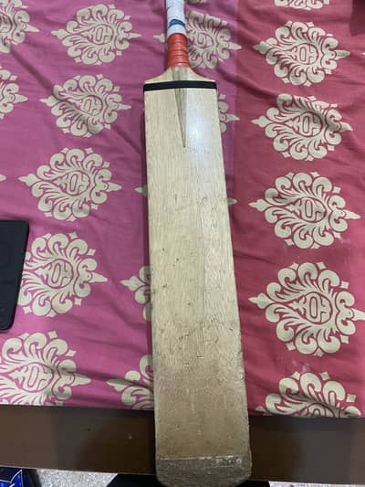 Coconut bat for sale