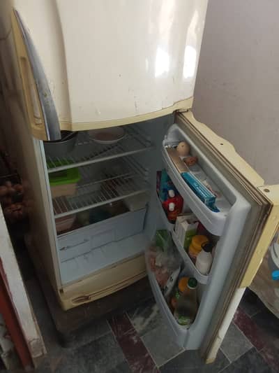 PEL Refrigerator Medium Size – Low Electricity Consumption