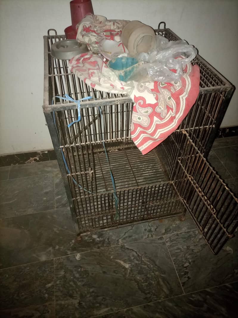 hen cage 0