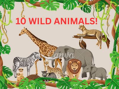Kids Wild Animals Coloring Book PDF | Instant Download | Fun Learning