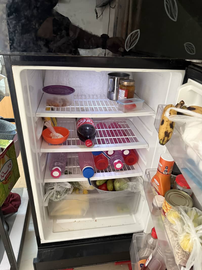 Pel fridge 2